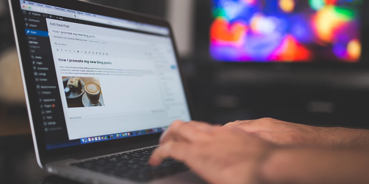 WordPress development service illustration